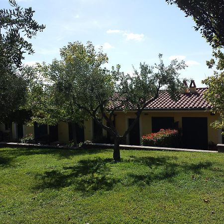 Agriturismo La Vite E Gli Ulivi Villa อาริชชา ภายนอก รูปภาพ