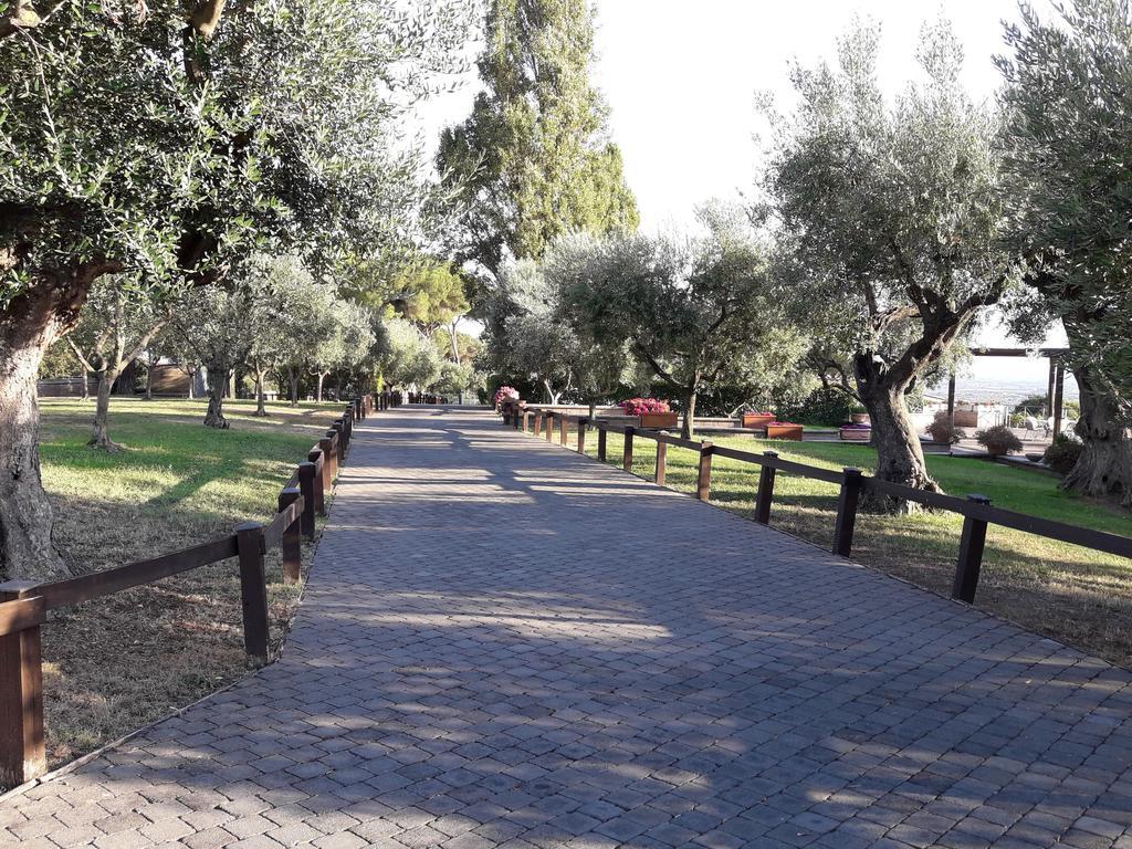Agriturismo La Vite E Gli Ulivi Villa อาริชชา ภายนอก รูปภาพ