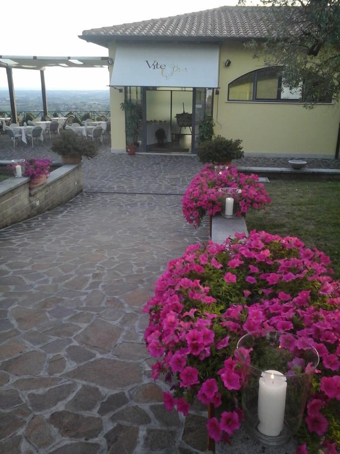 Agriturismo La Vite E Gli Ulivi Villa อาริชชา ภายนอก รูปภาพ