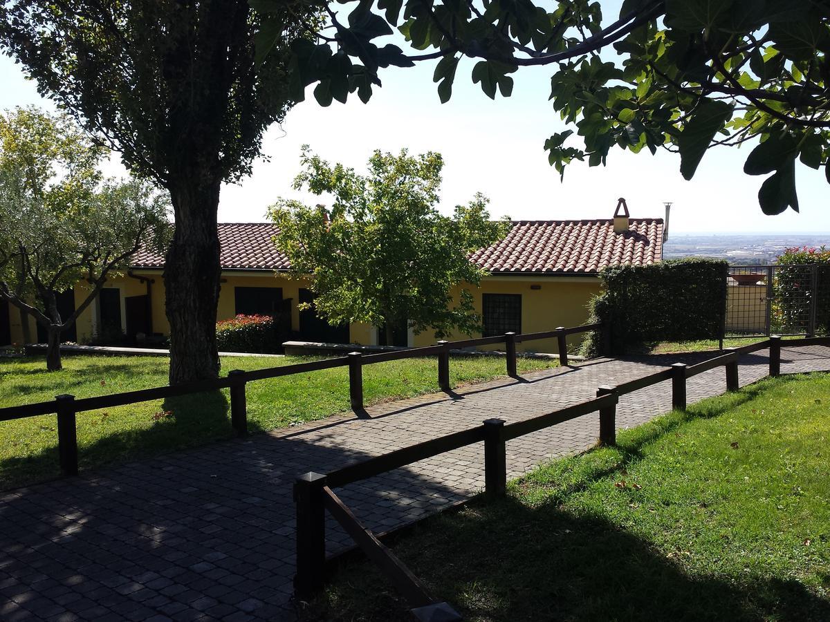 Agriturismo La Vite E Gli Ulivi Villa อาริชชา ภายนอก รูปภาพ